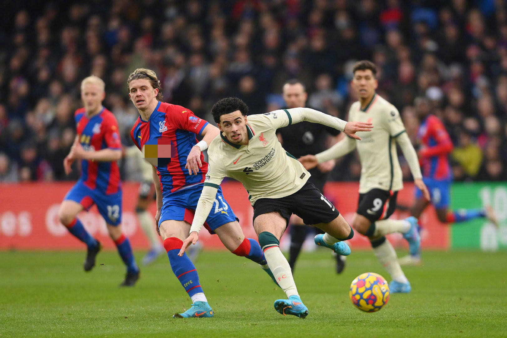 阿联酋球队 阿联酋球队